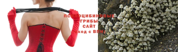 ГАЛЛЮЦИНОГЕННЫЕ ГРИБЫ Алзамай