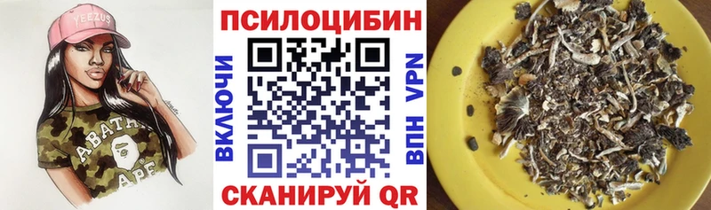 Псилоцибиновые грибы Magic Shrooms  сколько стоит  Шацк 