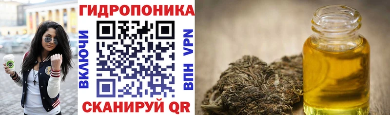 как найти наркотики  Шацк  МАРИХУАНА индика 
